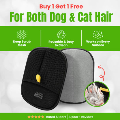 Fur-Free Home Swipe Tool