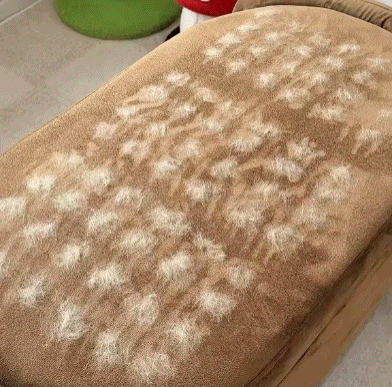 Fur-Free Home Swipe Tool