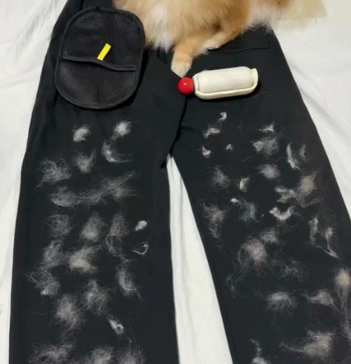 FurLift™ Pet Hair Remover Glove