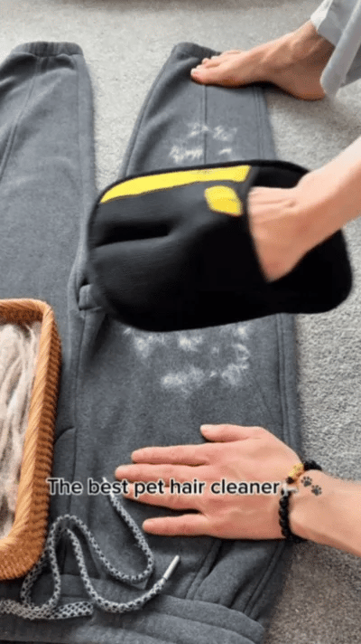 Fur-Free Home Swipe Tool