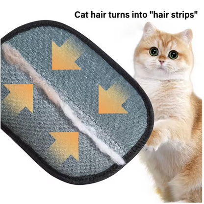 Fur-Free Home Swipe Tool