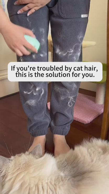 Fur-Free Home Swipe Tool