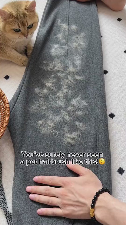 Fur-Free Home Swipe Tool