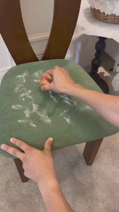 Fur-Free Home Swipe Tool